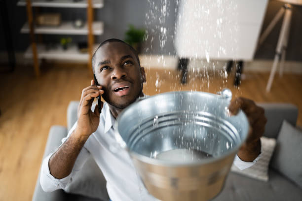 Best Carpet water damage restoration  in Ahuimanu, HI