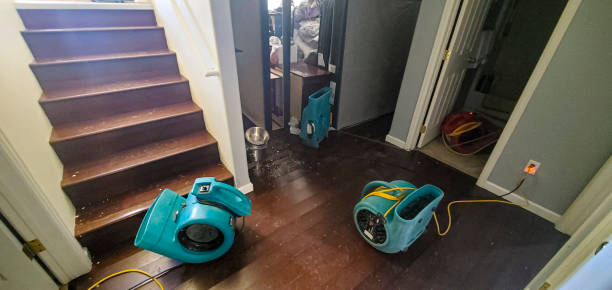 Best Commercial water damage restoration  in Ahuimanu, HI