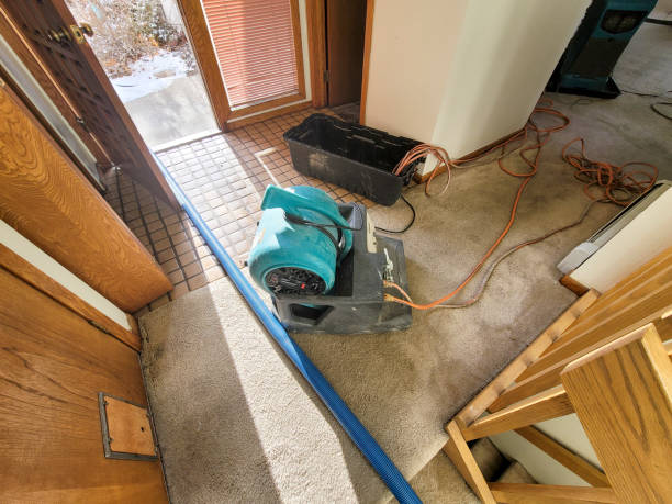 Best 24/7 water damage repair  in Ahuimanu, HI
