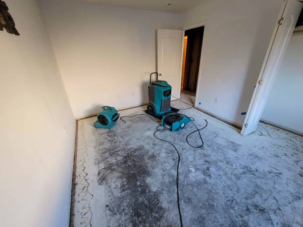 Best Flood damage cleanup  in Ahuimanu, HI