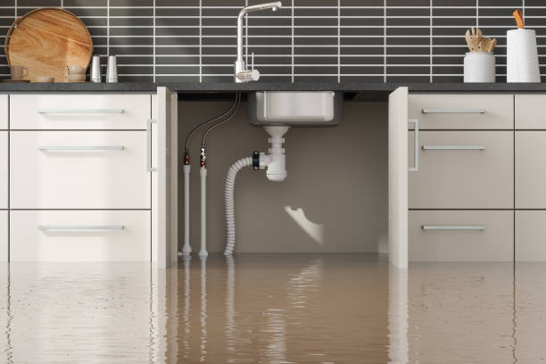 Reliable Ahuimanu, HI Water damage restoration Solutions