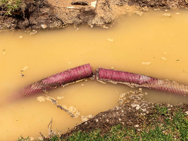 Best Residential water damage restoration  in Ahuimanu, HI