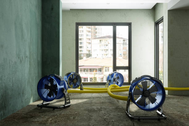 Best Ceiling water damage repair  in Ahuimanu, HI